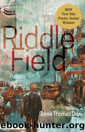 Riddle Field by Derek Thomas Dew