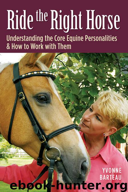 Ride the Right Horse by Yvonne Barteau