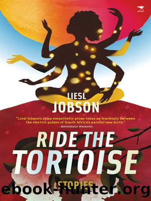 Ride the Tortoise by Liesl Jobson