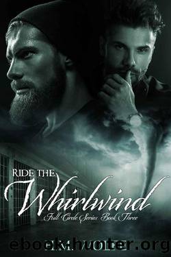 Ride the Whirlwind: Full Circle Series (Book 3) by H.M. Wolfe