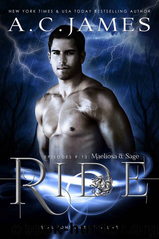 Ride: Maelíosa and Sage: Episodes 9-12 (Puca Mates Collection Book 3) by A.C. James