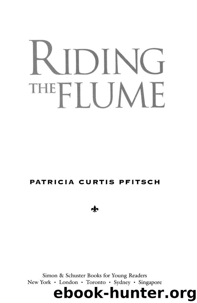 Riding the Flume by Patricia Curtis Pfitsch