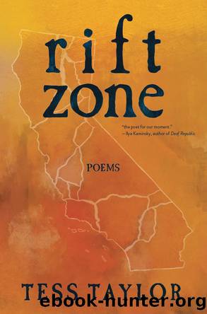 Rift Zone by Tess Taylor