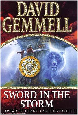 Rigante Series 01 - Sword in the Storm by David Gemmell