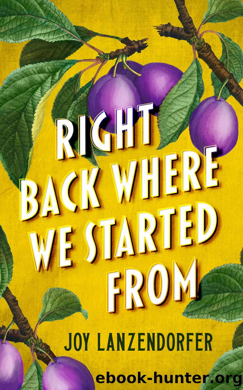 Right Back Where We Started From by Joy Lanzendorfer