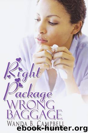 Right Package, Wrong Baggage by Wanda B. Campbell