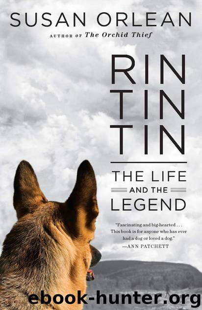Rin Tin Tin by Susan Orlean