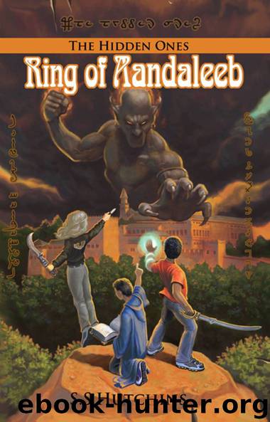Ring of Aandaleeb: The Hidden Ones (The Djinn Chronicles Book 1) by Hutchins S.S