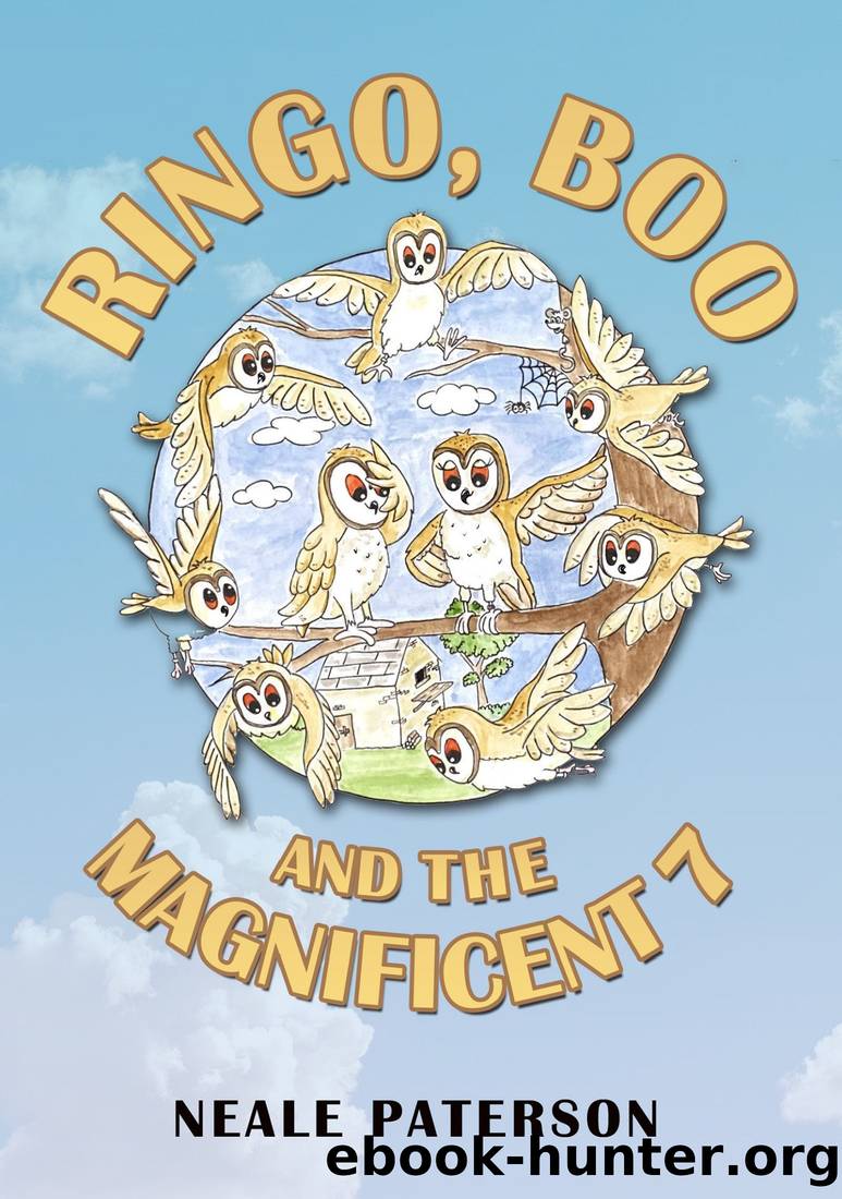 Ringo, Boo and the Magnificent 7 by Neale Paterson