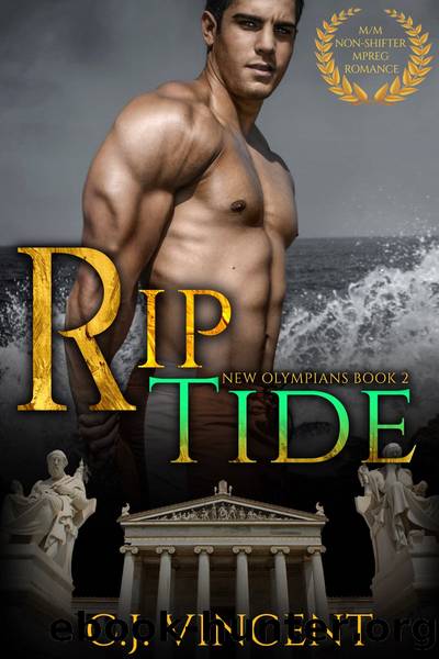Rip Tide by C. J. Vincent
