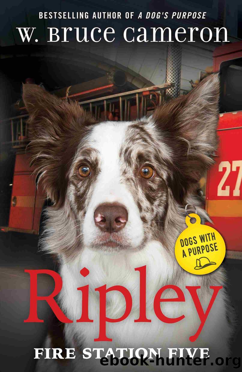 Ripley by W. Bruce Cameron