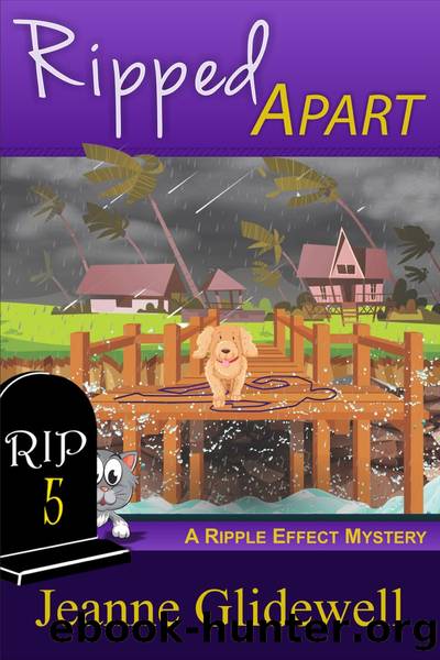 Ripped Apart (A Ripple Effect Cozy Mystery, Book 5) by Jeanne Glidewell