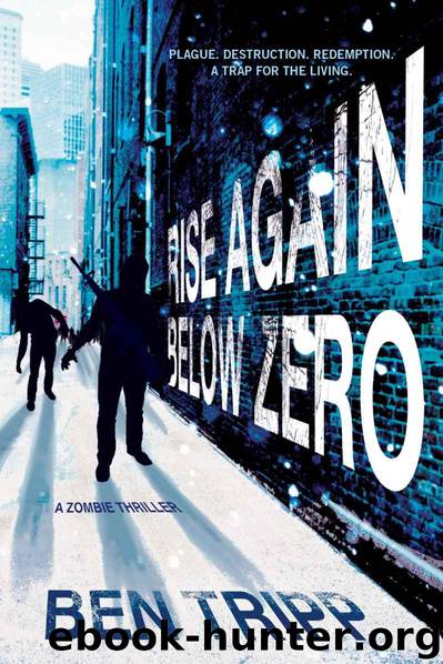 Rise Again Below Zero by Tripp Ben