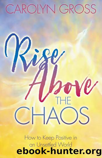 Rise above the Chaos by Gross Carolyn;