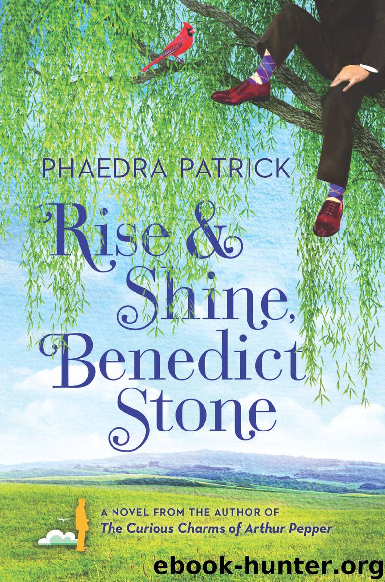 Rise and Shine, Benedict Stone by Phaedra Patrick