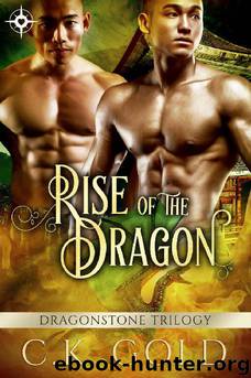 Rise of the Dragon by C K Gold