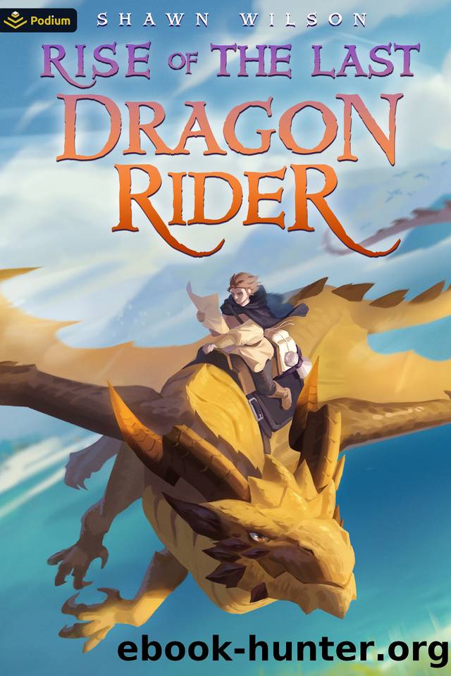 Rise of the Last Dragon Rider: A LitRPG Progression Fantasy by Shawn Wilson