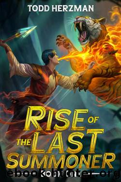 Rise of the Last Summoner 1: A LitRPG Fantasy by Todd Herzman