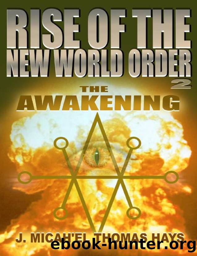 Rise of the New World Order 2: The Awakening by Hays J. Micha-el Thomas
