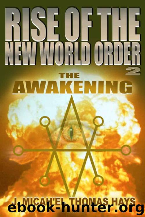 Rise of the New World Order 2: The Awakening by J. Micha-el Thomas Hays