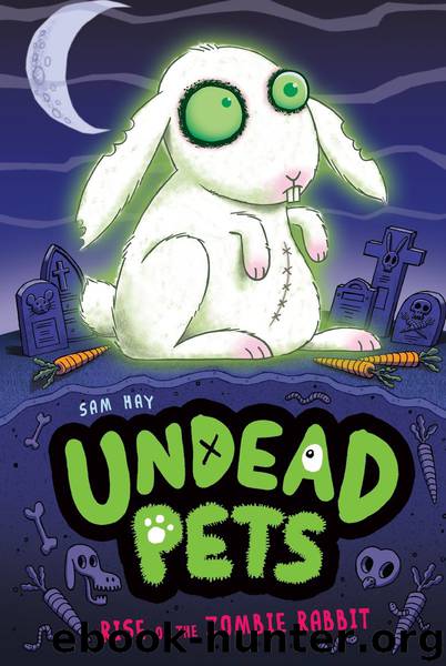 Rise of the Zombie Rabbit by Sam Hay
