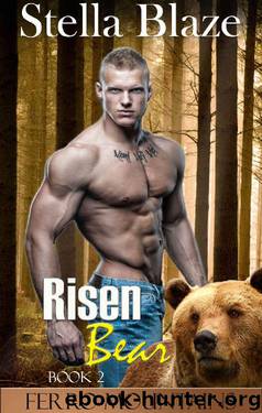 Risen Bear (Ferro Mountains Book 2) by Stella Blaze