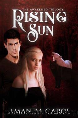 Rising Sun (The Awakened Trilogy Book 3) by Amanda Carol