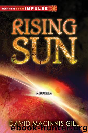 Rising Sun by David Macinnis Gill
