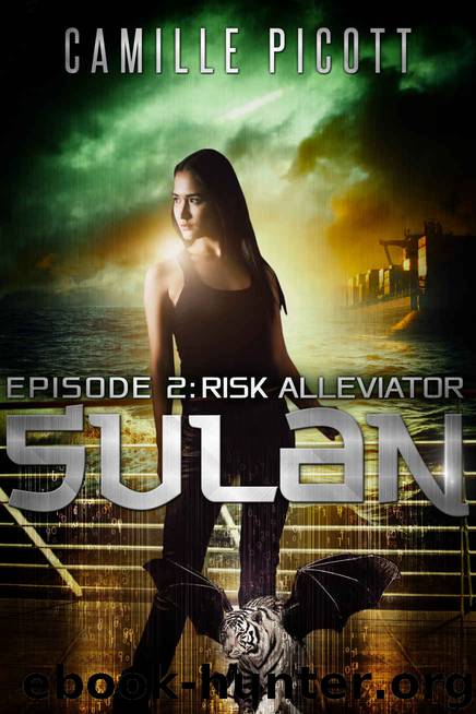 Risk Alleviator by Camille Picott