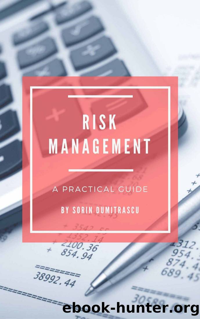 Risk Management: A Practical Guide by Sorin Dumitrascu