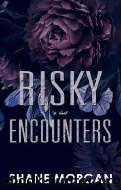 Risky Encounters (Risks & Betrayals Duet Book 1) by Shane Morgan