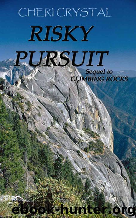 Risky Pursuit by Cheri Crystal