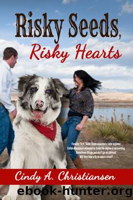 Risky Seeds, Risky Hearts by Cindy A. Christiansen