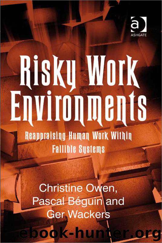 Risky Work Environments by Christine Owen & Pascal Béguin & Ger Wackers