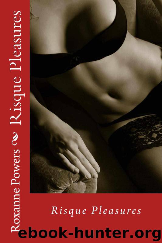 Risque Pleasures by Roxanne Powers