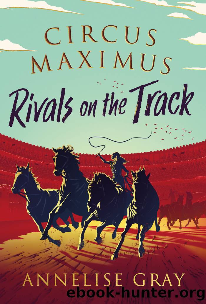 Rivals on the Track by Annelise Gray