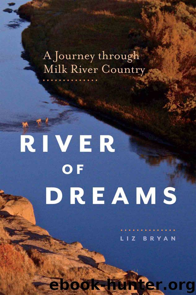 River of Dreams: A Journey through Milk River Country by Liz Bryan