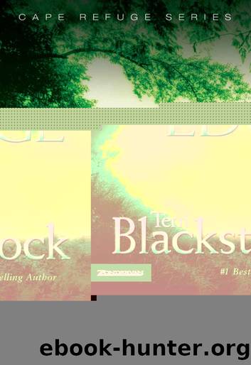 River's Edge (Cape Refuge Series) by Terri Blackstock