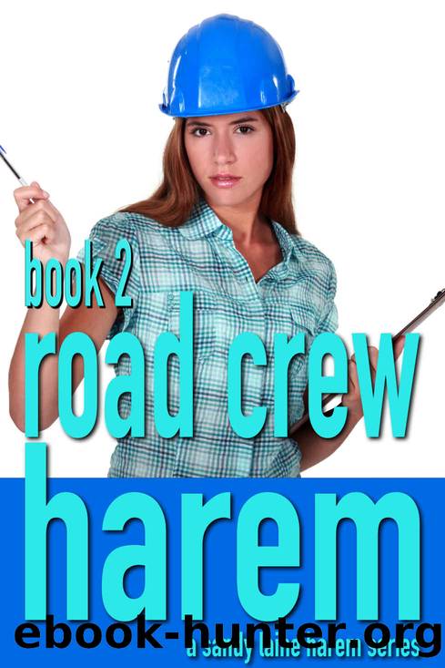 Road Crew Harem Book 2: A working stiff MFFF harem tale by Sandy Laine