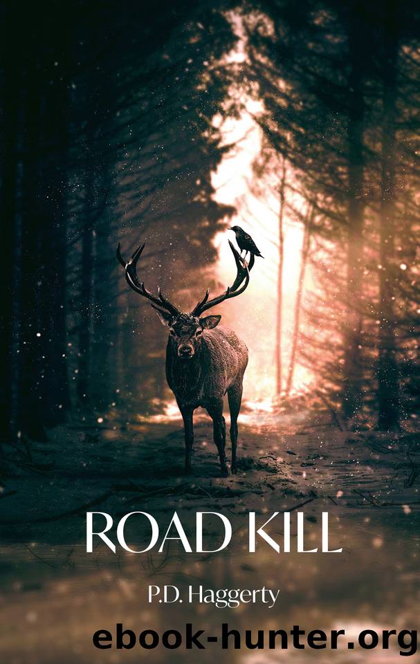 Road Kill (Hyperion and Meagan Adventures Book 2) by Haggerty P.D