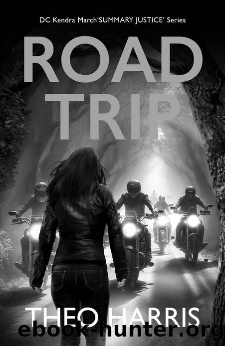 Road Trip (Summary Justice series Book 3) by Theo Harris