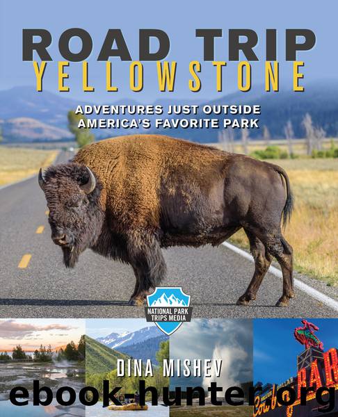 Road Trip Yellowstone by Dina Mishev