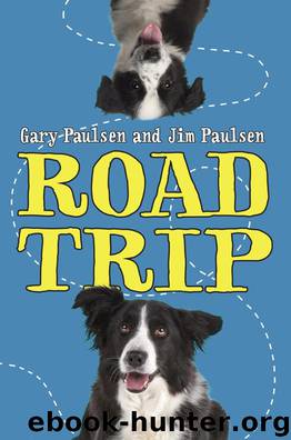 Road Trip by Gary Paulsen