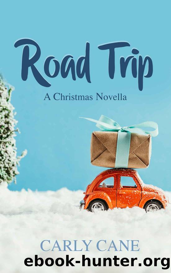 Road Trip: A Lesbian Christmas Novella by Carly Cane