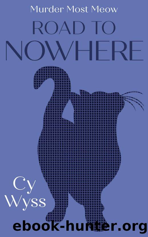 Road to Nowhere by Cy Wyss