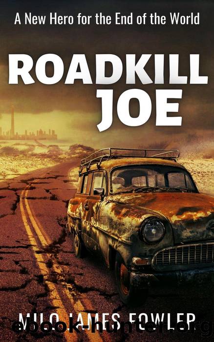 Roadkill Joe by Milo James Fowler