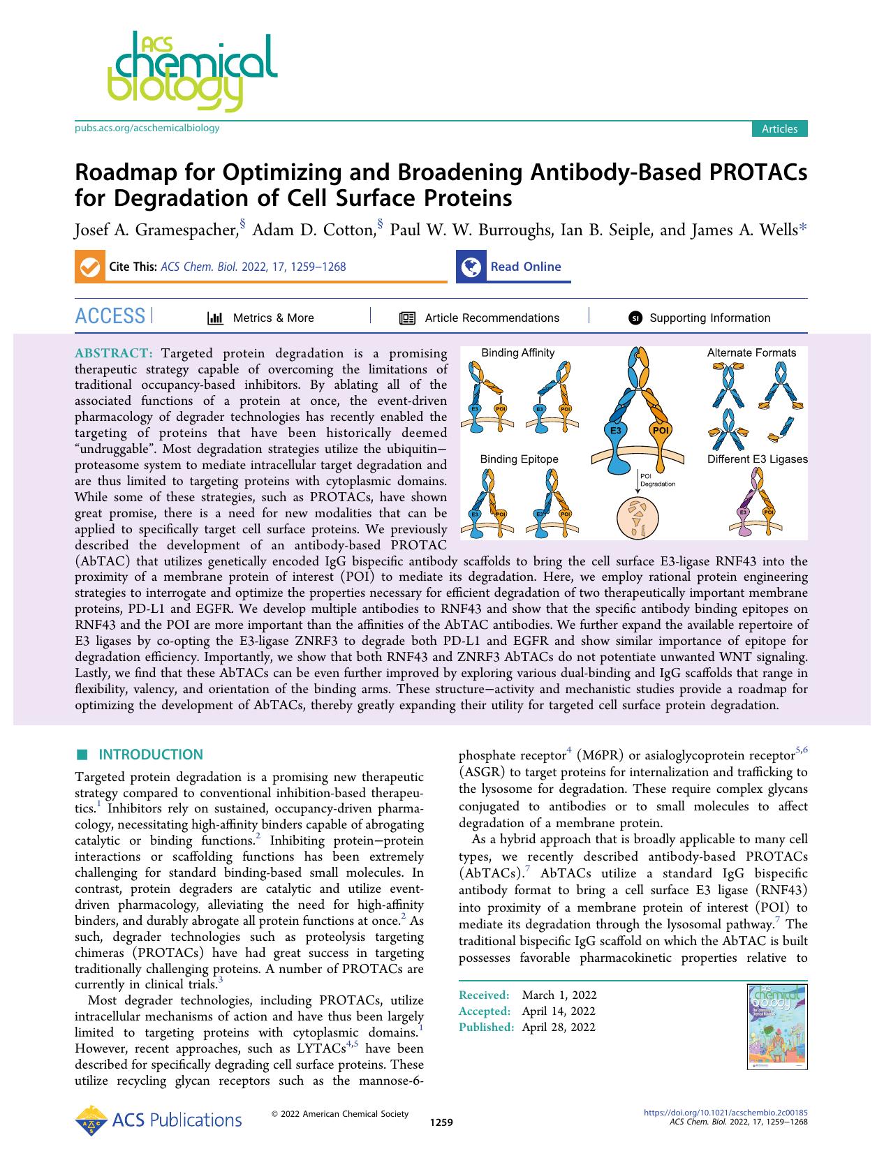 Roadmap for Optimizing and Broadening Antibody-Based PROTACs for Degradation of Cell Surface Proteins by Josef A. Gramespacher Adam D. Cotton Paul W. W. Burroughs Ian B. Seiple and James A. Wells