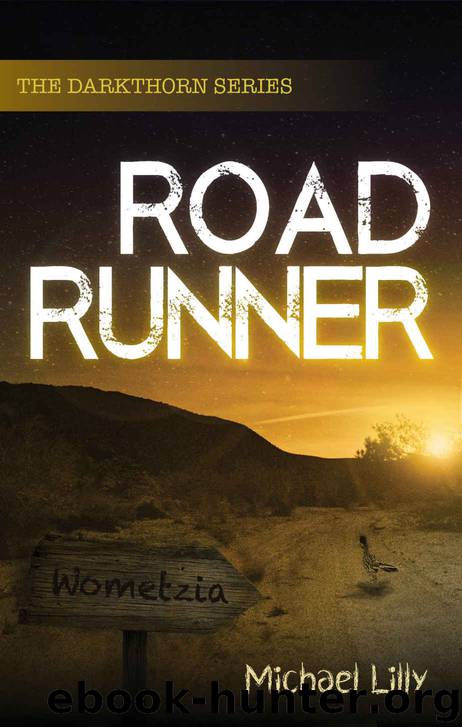 Roadrunner by Michael Lilly