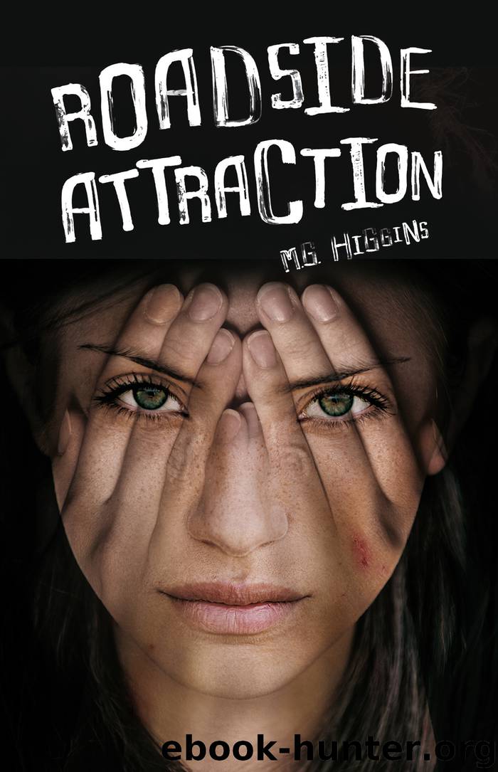 Roadside Attraction by M.G. Higgins
