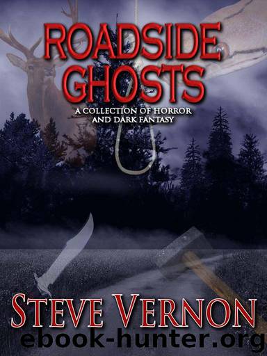 Roadside Ghosts: A Collection of Horror and Dark Fantasy (Stories to SERIOUSLY Creep You Out Book 3) by Vernon Steve